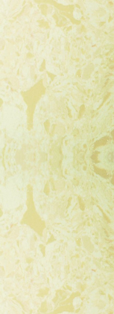 邀请政府领导、专家学者、企业领袖